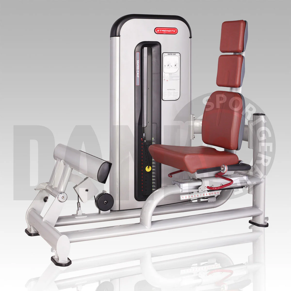 Aehnlich Star Trac, TechnoGym oder Gym80 - Danksport S-Line Gerätepark - 30 Kraftgeräte & Zubehör, Neue Geräte, Farbe Silber, Polster Braun - Image 18