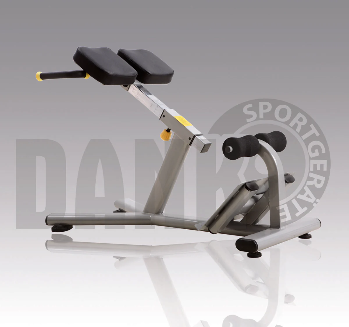 Aehnlich Star Trac, TechnoGym oder Gym80 - Danksport S-Line Gerätepark - 30 Kraftgeräte & Zubehör, Neue Geräte, Farbe Silber, Polster Braun - Image 29