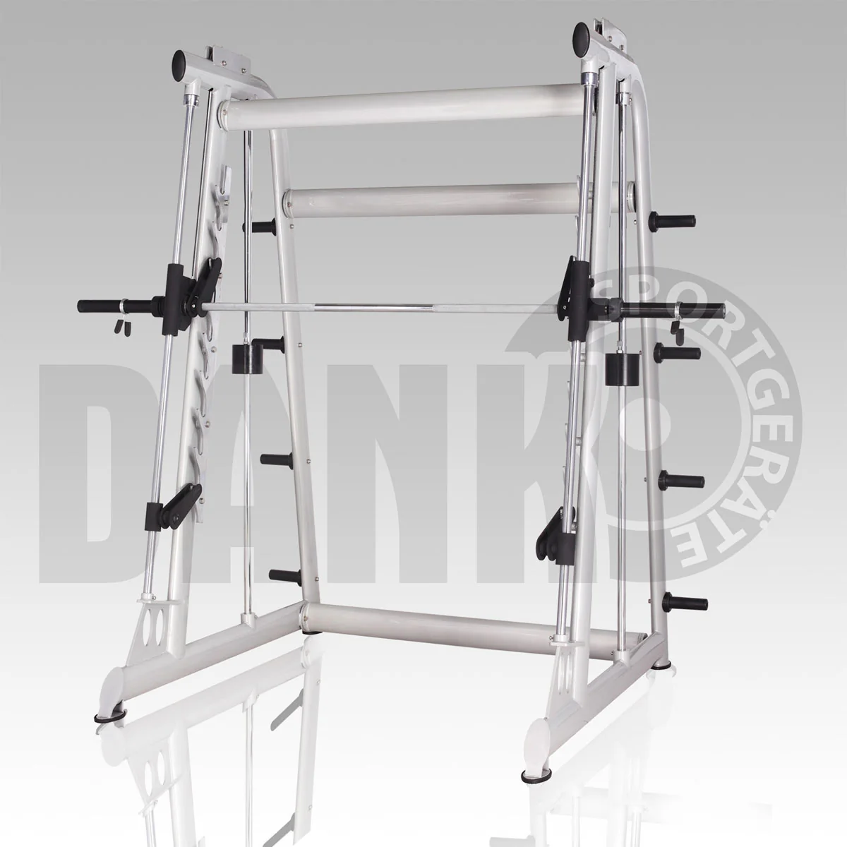 Aehnlich Star Trac, TechnoGym oder Gym80 - Danksport S-Line Gerätepark - 30 Kraftgeräte & Zubehör, Neue Geräte, Farbe Silber, Polster Braun - Image 6