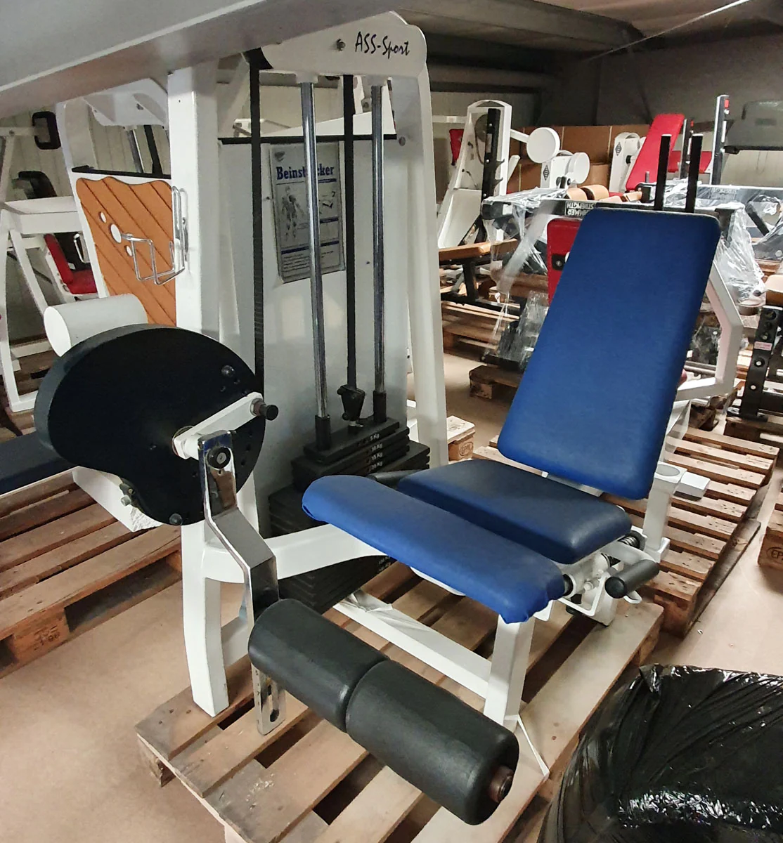 ASS-Sport Beinstrecker, Leg Extension, verstellbar, 140kg Gewichtsblock, Rahmen Weiß, Polster Blau, gebraucht - überholter Zustand - Image 5