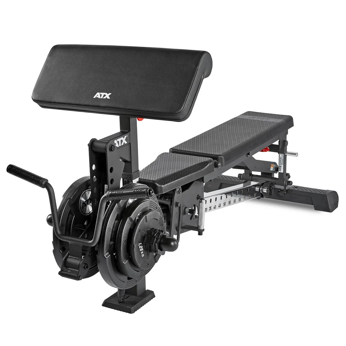 ATX Bizep-Curl-Maschine Option für diverse Multibänke - Image 11