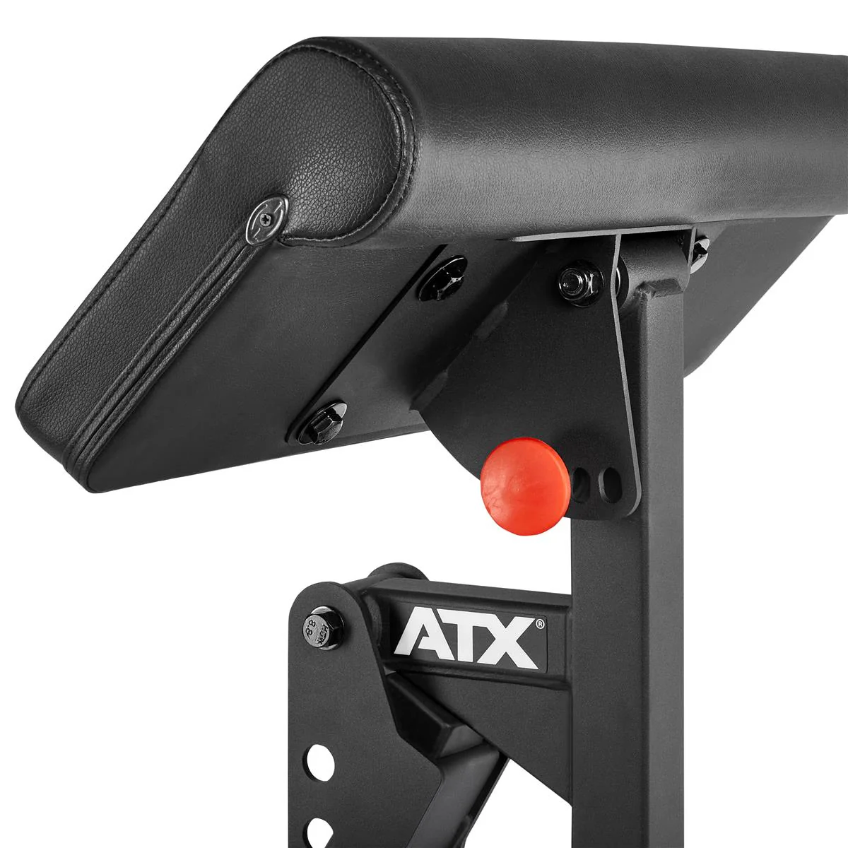 ATX Bizep-Curl-Maschine Option für diverse Multibänke - Image 4