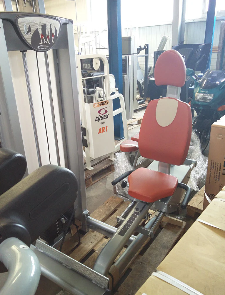 BH Fitness Wadenmaschine sitzend, Silber, Strength Line, gebraucht - Image 3