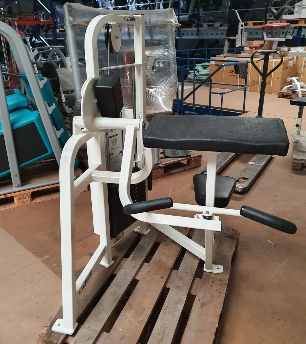 Cybex Bizepsmaschine, Arm Curl, Rahmen Weiß, Polster Schwarz, gebraucht - überholter Zustand - Image 3