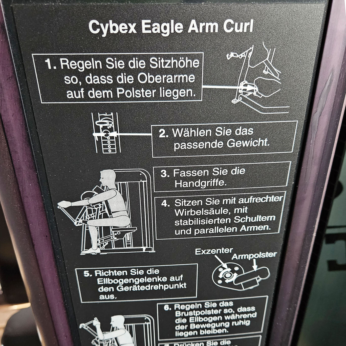 Cybex Eagle Arm Curl, Bizepsmaschine mit Exzenter, Biceps Curl, Rahmenfarbe Anthrazit, gebraucht - überholter Zustand - Image 2