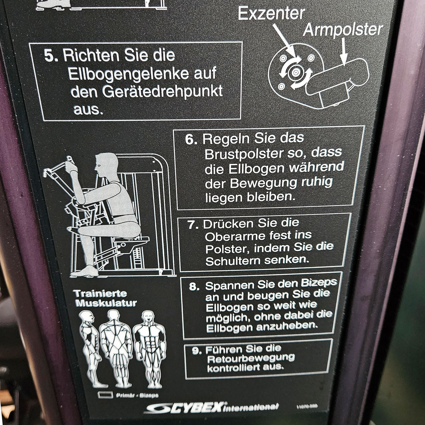 Cybex Eagle Arm Curl, Bizepsmaschine mit Exzenter, Biceps Curl, Rahmenfarbe Anthrazit, gebraucht - überholter Zustand - Image 3