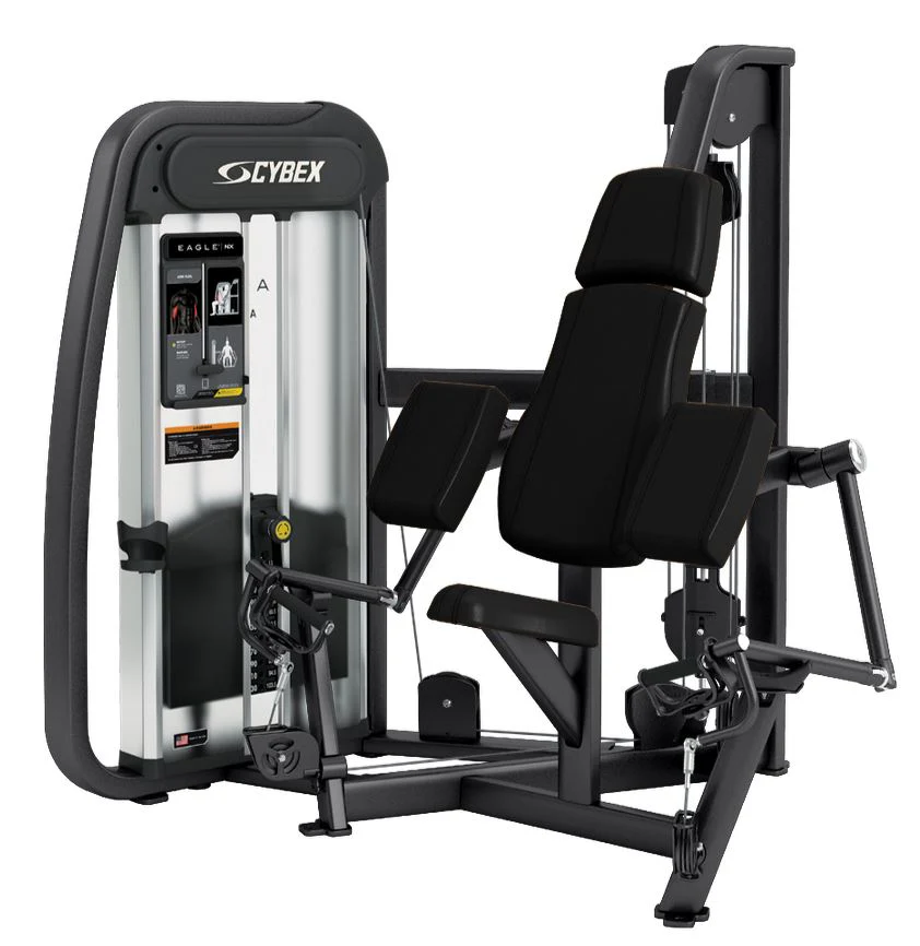 Cybex Eagle NX Arm Curl, Bizepsmaschine, Biceps Curl, Rahmenfarbe Anthrazit, gebraucht - überholter Zustand - Image 6