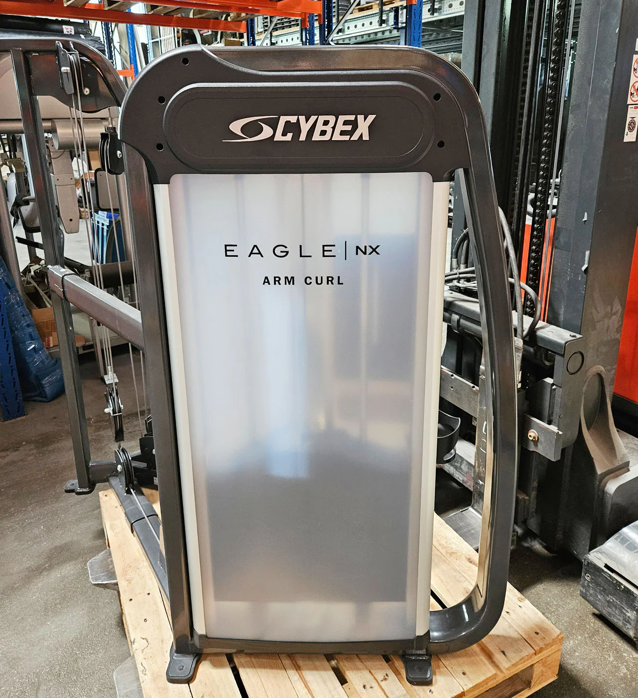 Cybex Eagle NX Arm Curl, Bizepsmaschine, Biceps Curl, Rahmenfarbe Anthrazit, gebraucht - überholter Zustand - Image 7