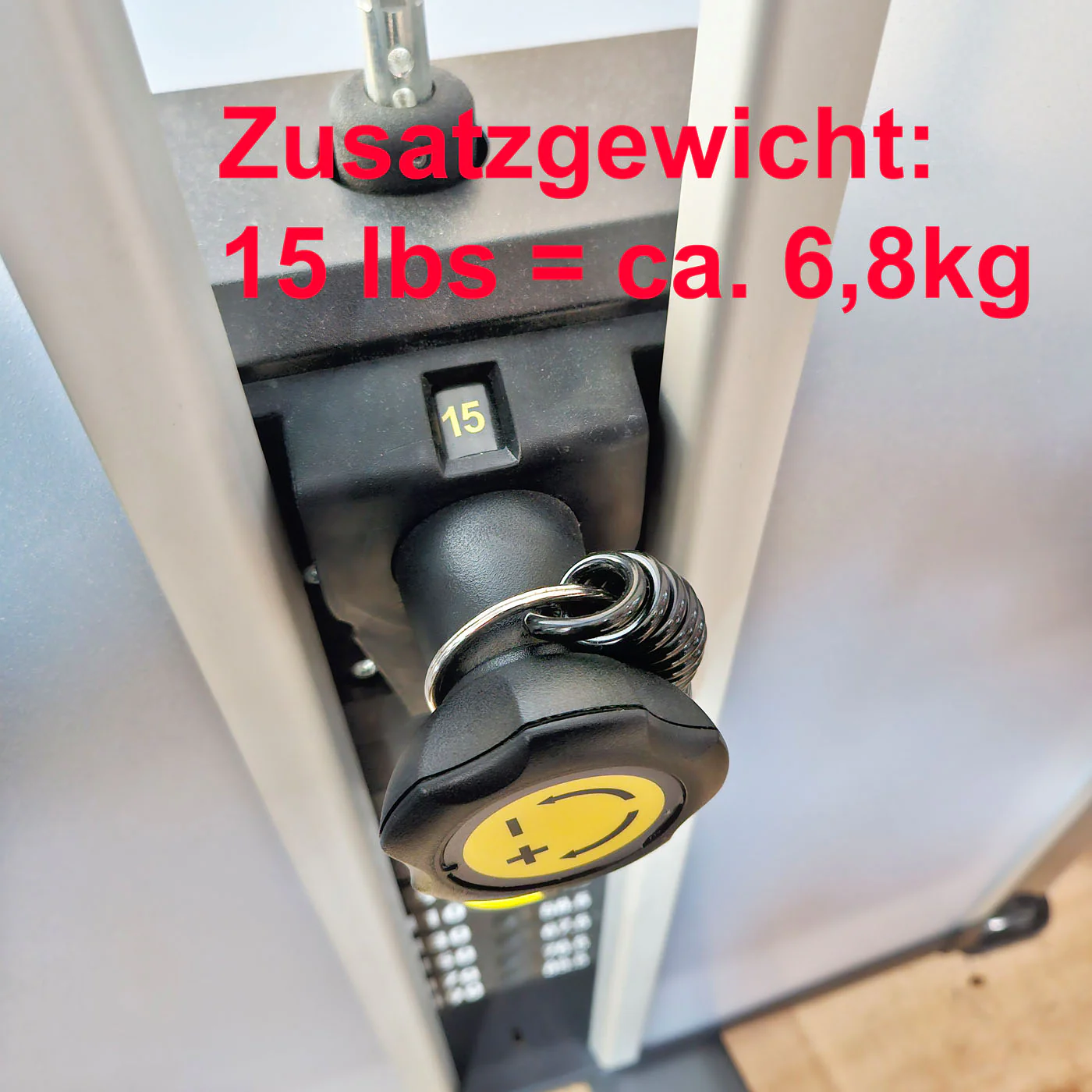 Cybex Eagle NX Arm Extension, Trizepsmaschine, Triceps Press, Rahmenfarbe Anthrazit, gebraucht - überholter Zustand - Image 6