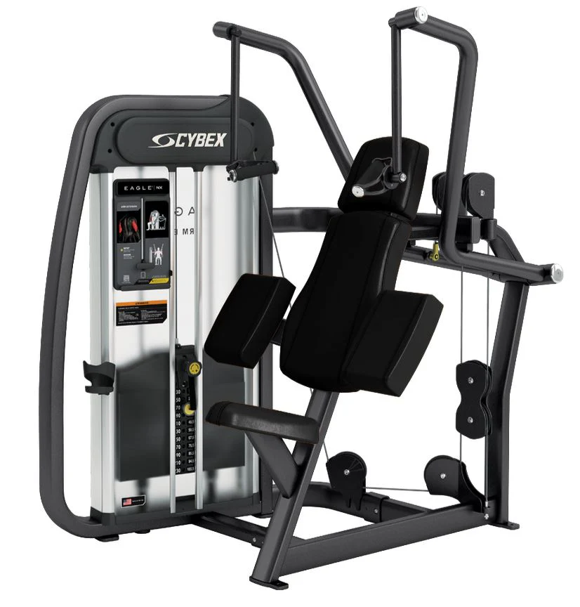 Cybex Eagle NX Arm Extension, Trizepsmaschine, Triceps Press, Rahmenfarbe Anthrazit, gebraucht - überholter Zustand - Image 8