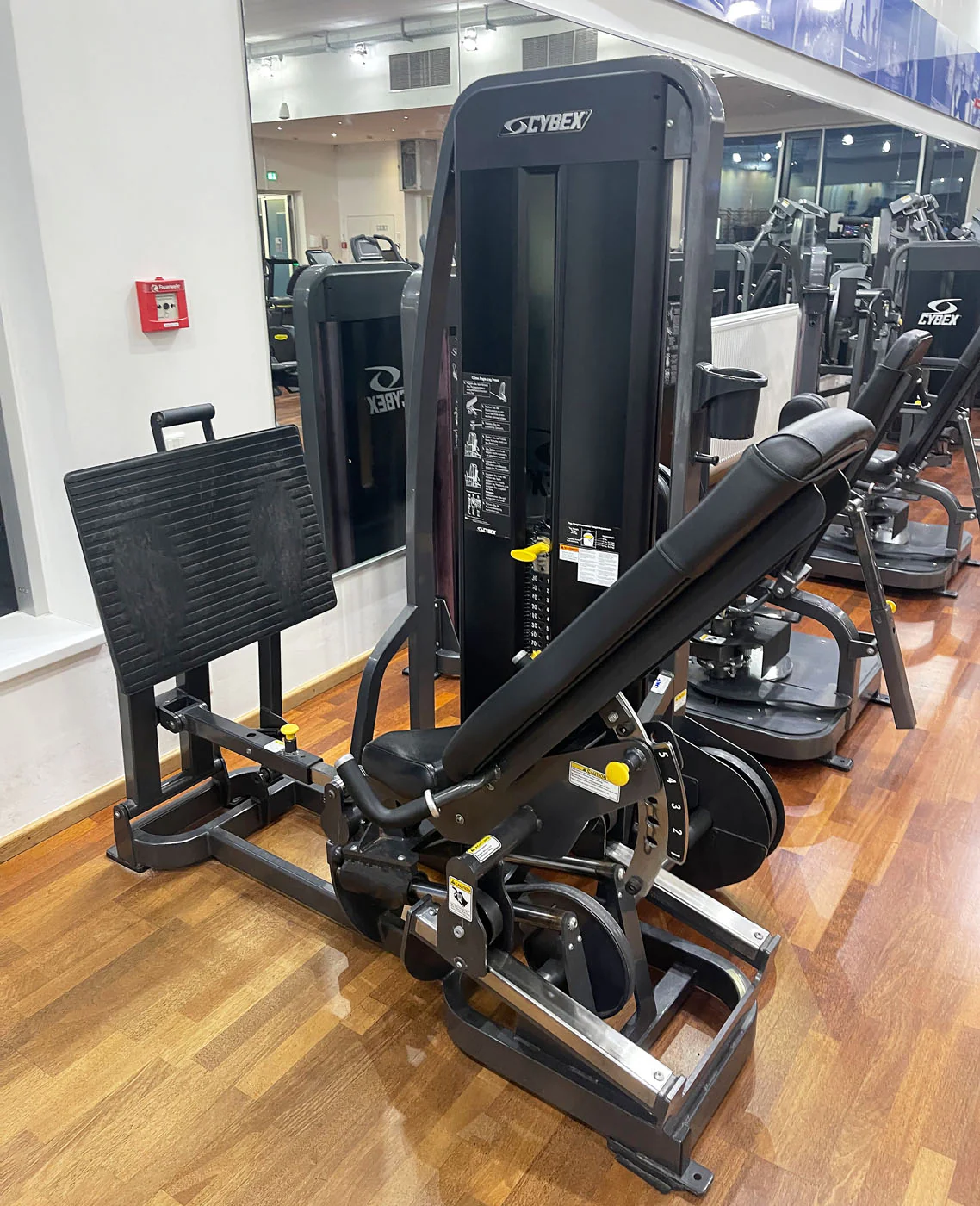 Cybex Eagle, VR1 und VR3 Kraftgeräte Set, 17 Fitnessgeräte ( 18 Stationen ) Made in USA - gebraucht - überholter Zustand - Image 16