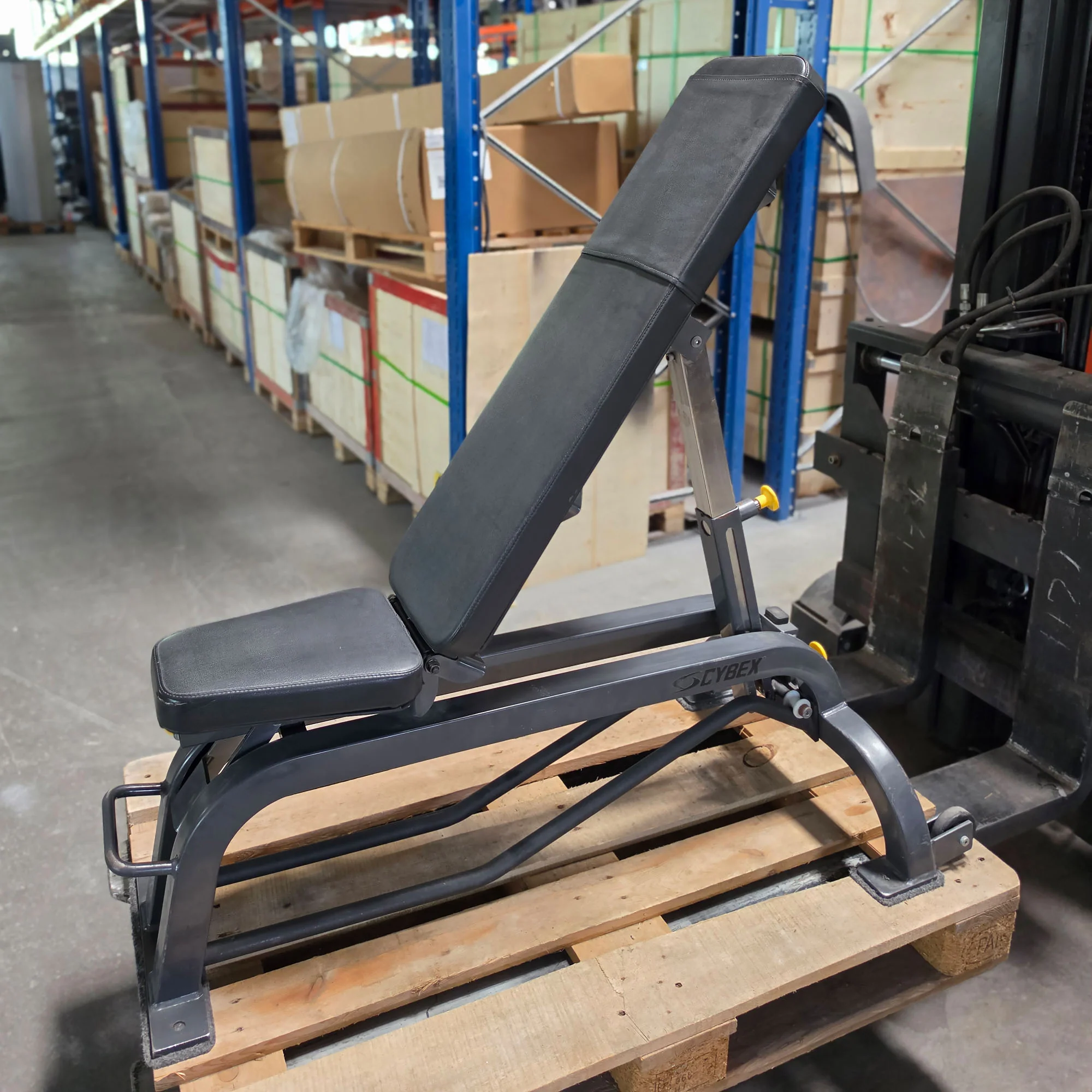 Cybex verstellbare Hantelbank ohne Ablagen, Universalbank, Adjustable Workout Bench, Rahmenfarbe Anthrazit, gebraucht - mit Gebrauchsspuren - Image 2