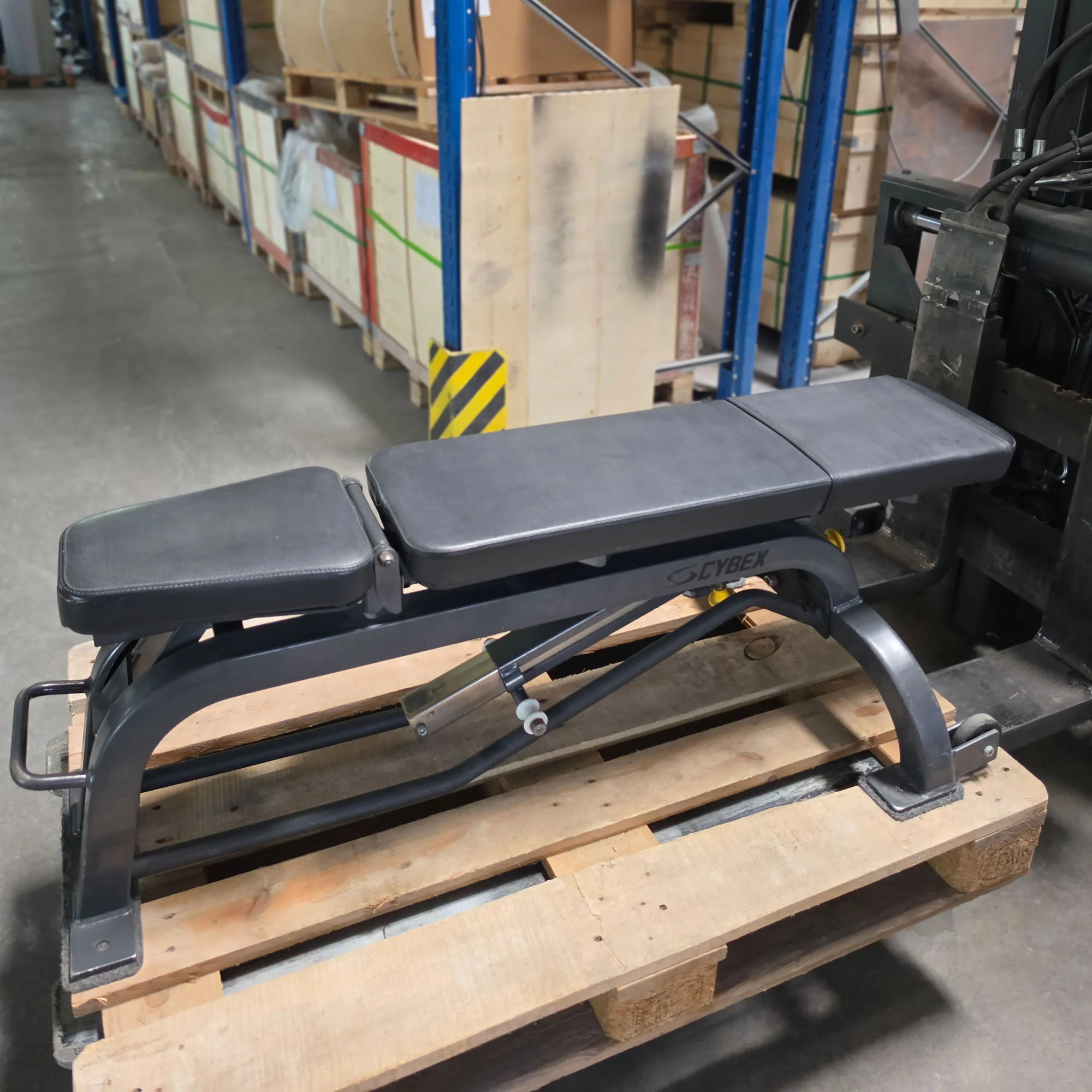 Cybex verstellbare Hantelbank ohne Ablagen, Universalbank, Adjustable Workout Bench, Rahmenfarbe Anthrazit, gebraucht - mit Gebrauchsspuren - Image 3
