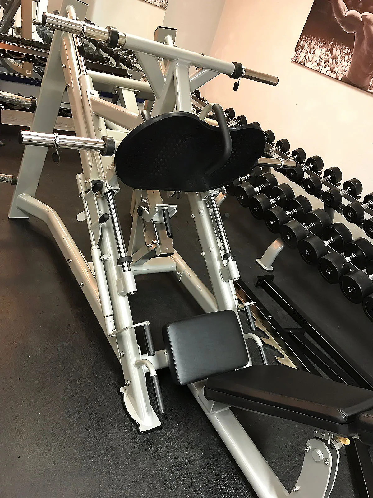 DankSport Beinpresse 45° Grad mit Scheibenaufnahmen Plate loaded, Leg Press, Silber und Schwarz - NEU - Image 2