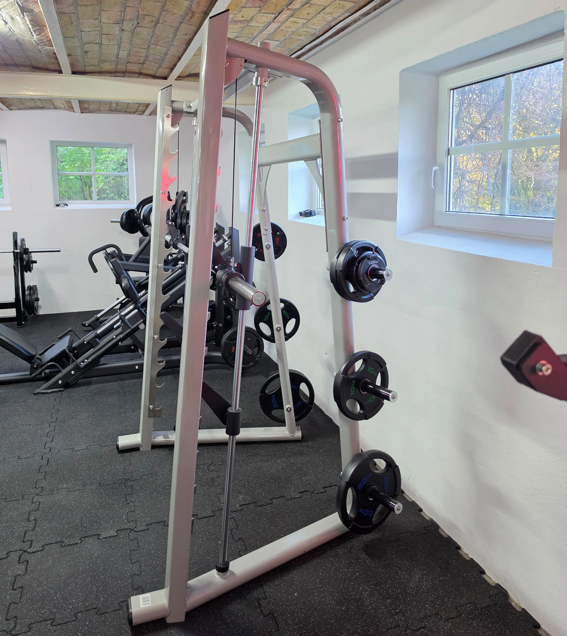 DankSport Multipresse geführt, Smith Machine, Rahmenfarbe Silber und Schwarz, NEU - Image 6