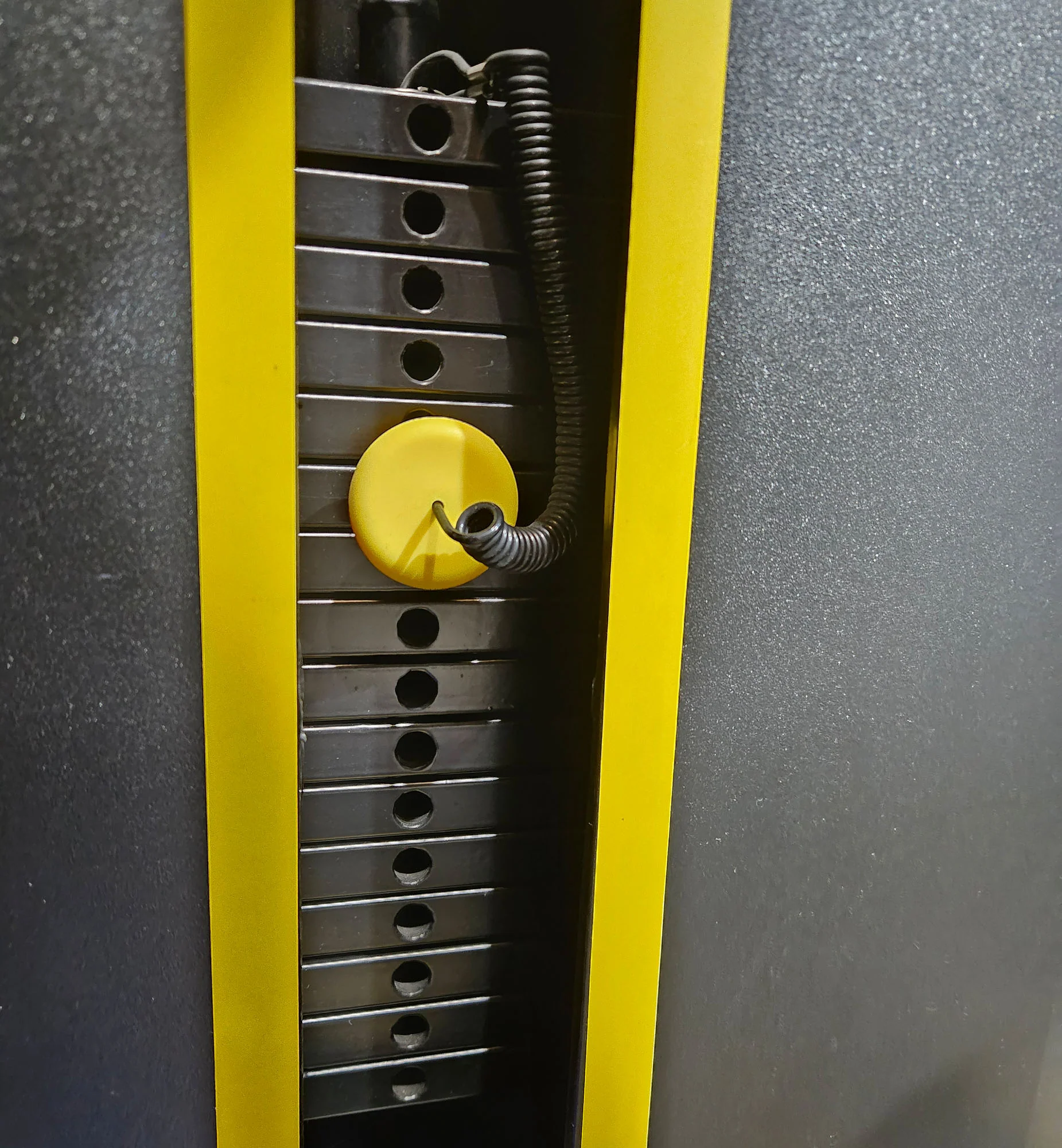 DankSport Rotationsmaschine, Rotary Torso, Rotation Twister, Farbe Blau, gebraucht - Ausstellungsstück - Image 6