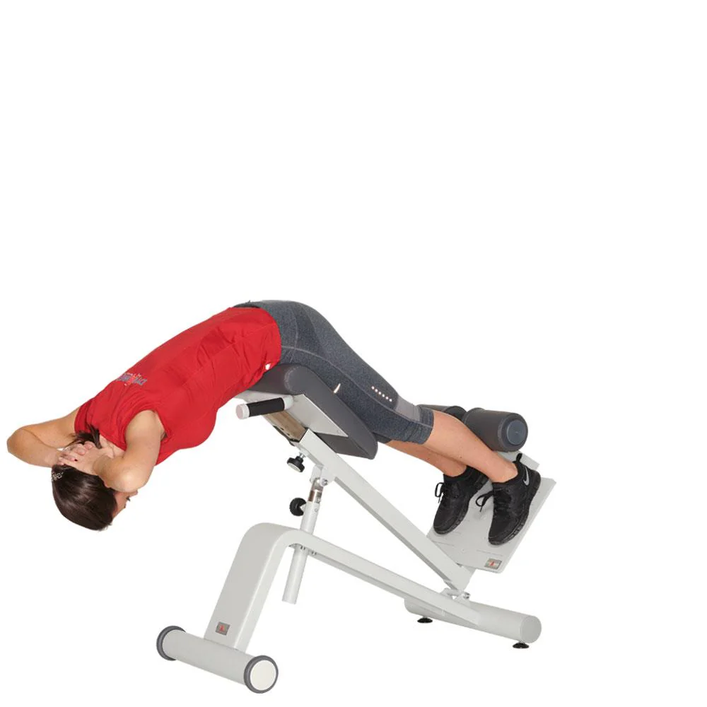 Dynamed Lateral- /Lumbal-Trainer, Stolzenberg - NEU - Image 4