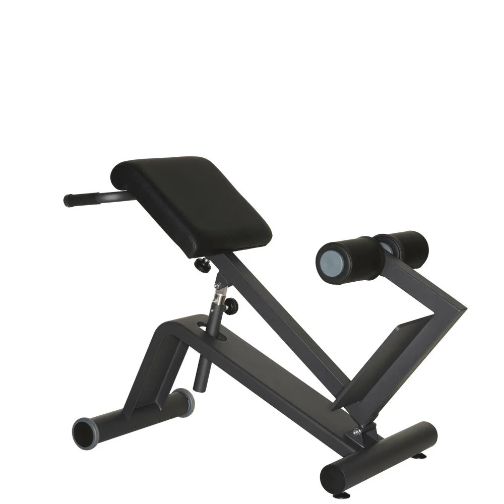 Dynamed Lateral- /Lumbal-Trainer, Stolzenberg - NEU - Image 5