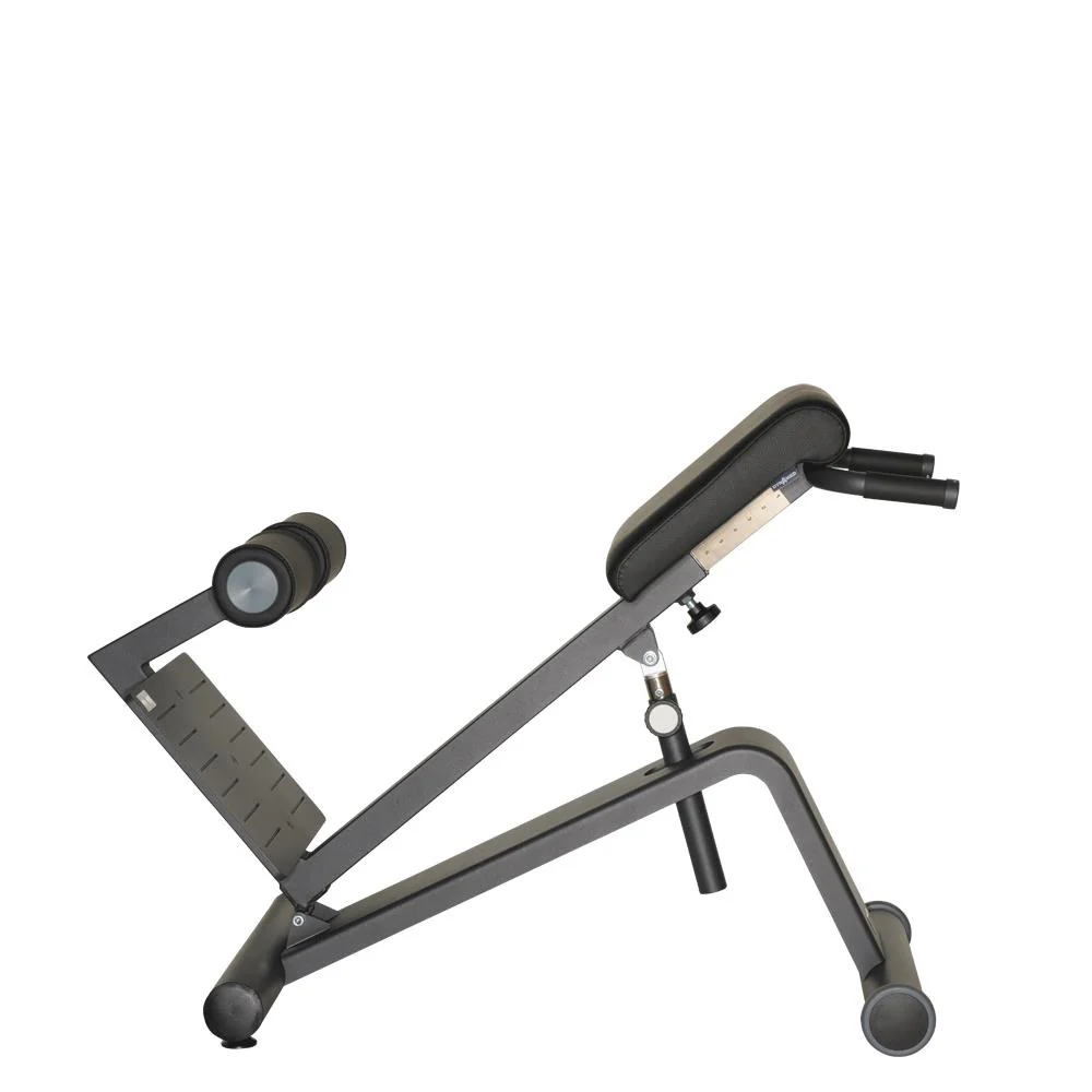 Dynamed Lateral- /Lumbal-Trainer, Stolzenberg - NEU - Image 6