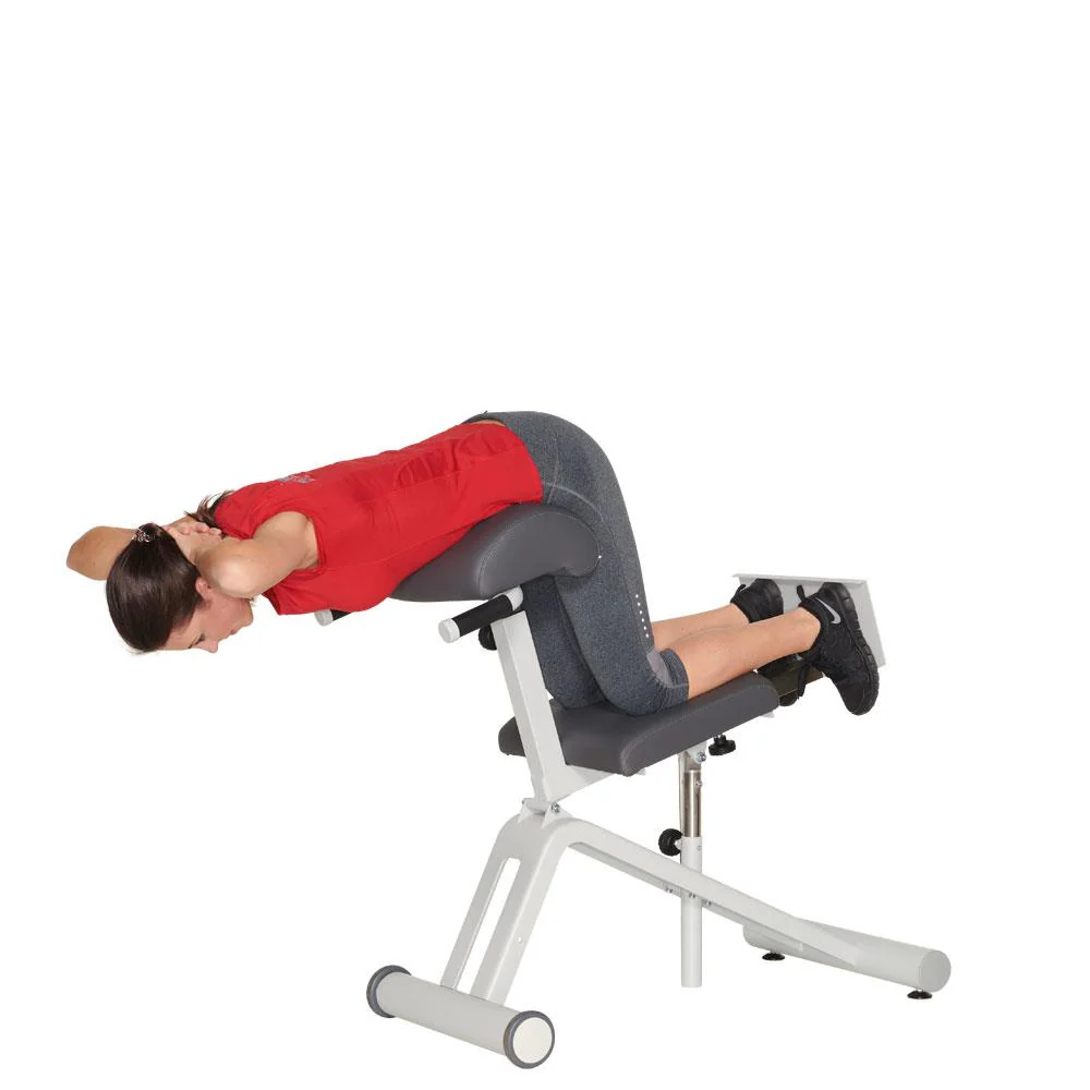 Dynamed Lumbal-Trainer, Stolzenberg - NEU - Image 3