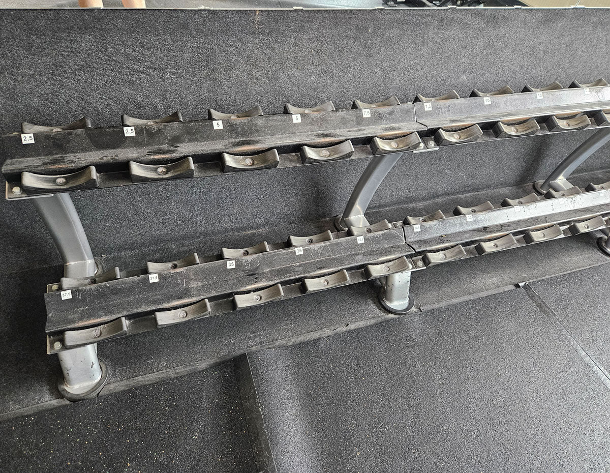ElbeSport Kurzhantelsatz aus Guss von 2,5 bis 50kg in 2,5kg Stufen ( 20 Paare ) Oldschool, INKLUSIVE Kurzhantelablagen, gebraucht - mit Gebrauchsspuren - Image 31