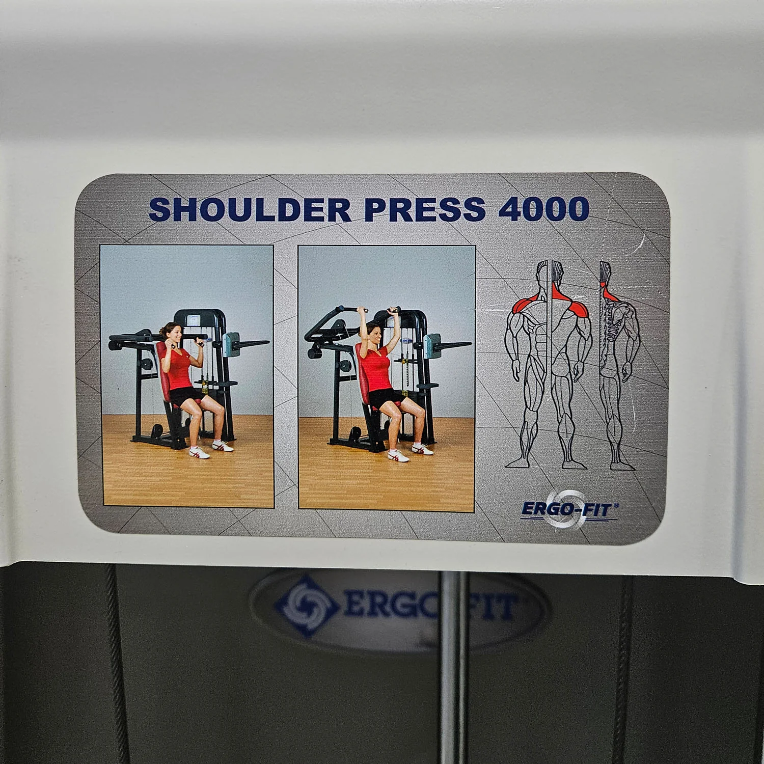 Ergo-Fit Schulterpresse, Shoulder Press, Überkopfdrücken, 4000 Serie, Rahmenfarbe Weiß, gebraucht - überholter Zustand - Image 6