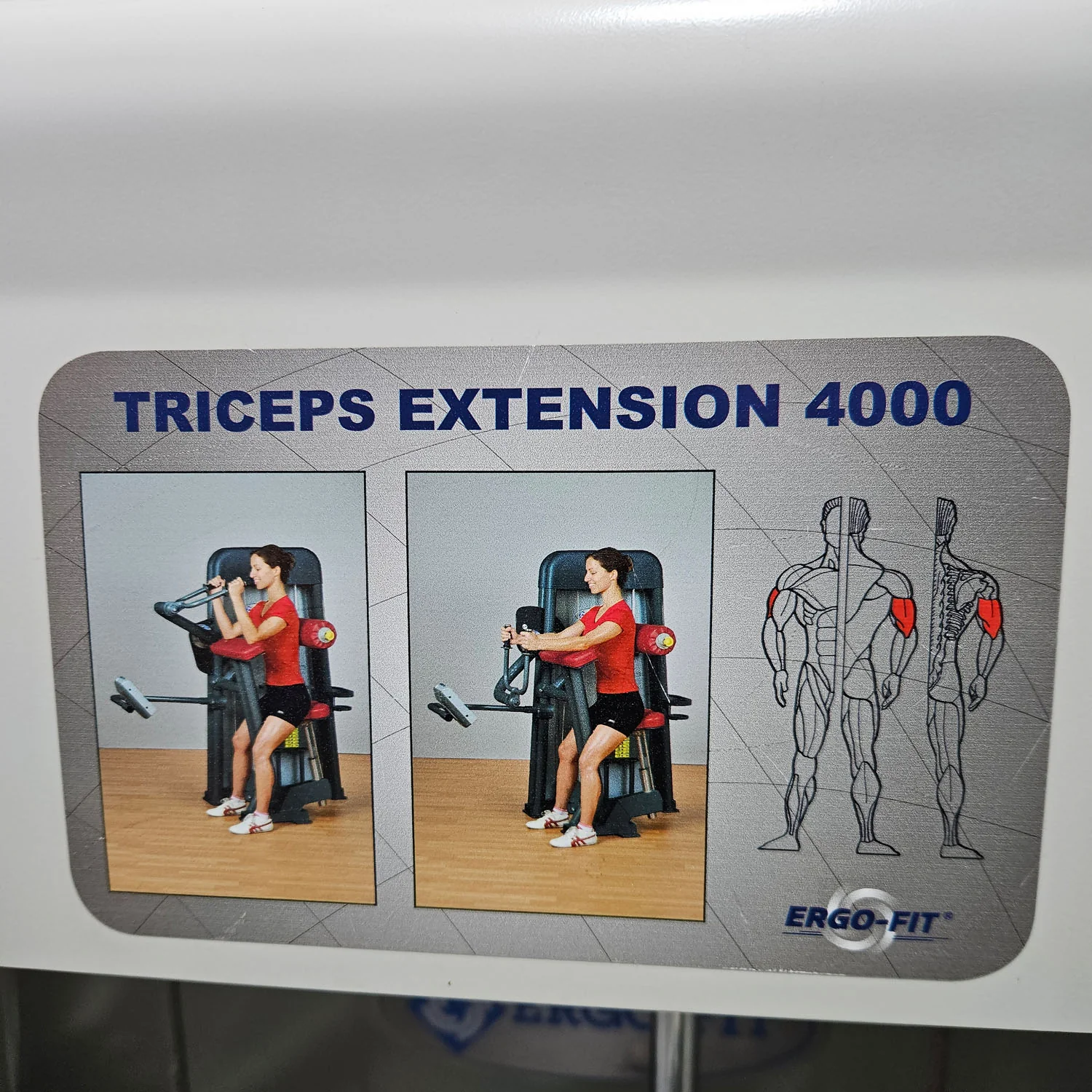 Ergo-Fit Trizepsmaschine horizontal, Triceps Extension, Armstrecker, 4000 Serie, Rahmenfarbe Weiß, gebraucht - überholter Zustand - Image 11