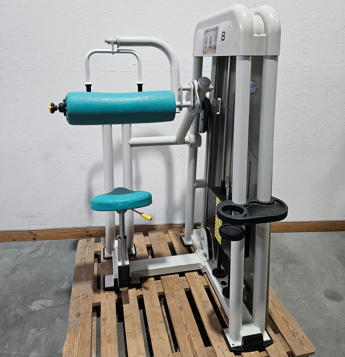 Ergo-Fit Trizepsmaschine horizontal, Triceps Extension, Armstrecker, 4000 Serie, Rahmenfarbe Weiß, gebraucht - überholter Zustand - Image 4