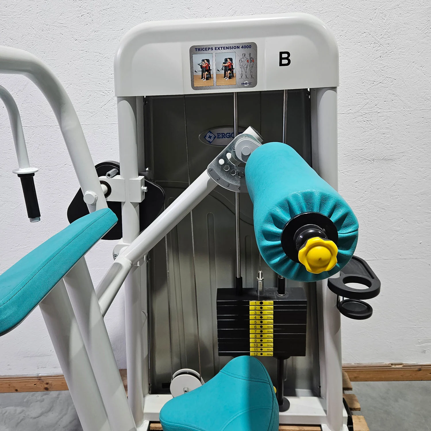 Ergo-Fit Trizepsmaschine horizontal, Triceps Extension, Armstrecker, 4000 Serie, Rahmenfarbe Weiß, gebraucht - überholter Zustand - Image 6