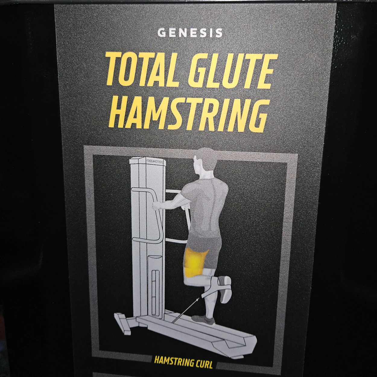 Freemotion Genesis Kraftgeräte Set, 10 Bilaterale Kabelzug Fitnessgeräte, Baujahr 2019 und 2020 - auch als Zirkel nutzbar, Made in USA - gebraucht - Neuwertiger Zustand - Image 25