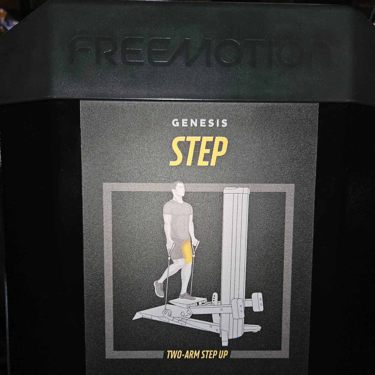 Freemotion Genesis Kraftgeräte Set, 10 Bilaterale Kabelzug Fitnessgeräte, Baujahr 2019 und 2020 - auch als Zirkel nutzbar, Made in USA - gebraucht - Neuwertiger Zustand - Image 27