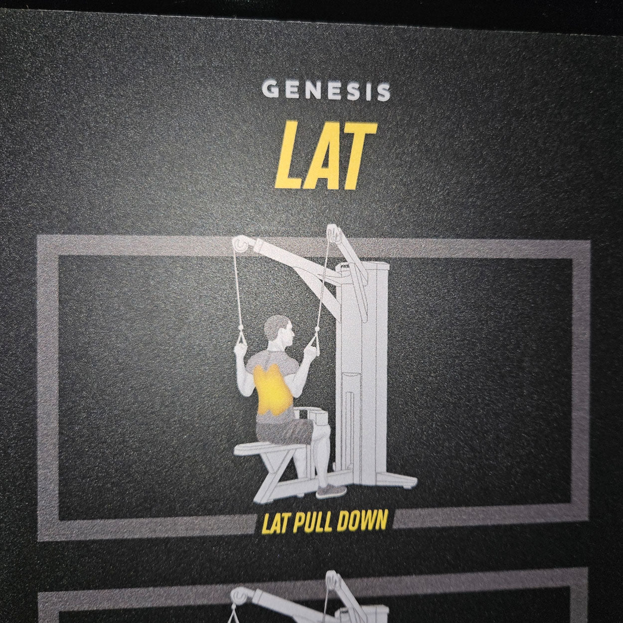 Freemotion Genesis Kraftgeräte Set, 10 Bilaterale Kabelzug Fitnessgeräte, Baujahr 2019 und 2020 - auch als Zirkel nutzbar, Made in USA - gebraucht - Neuwertiger Zustand - Image 30