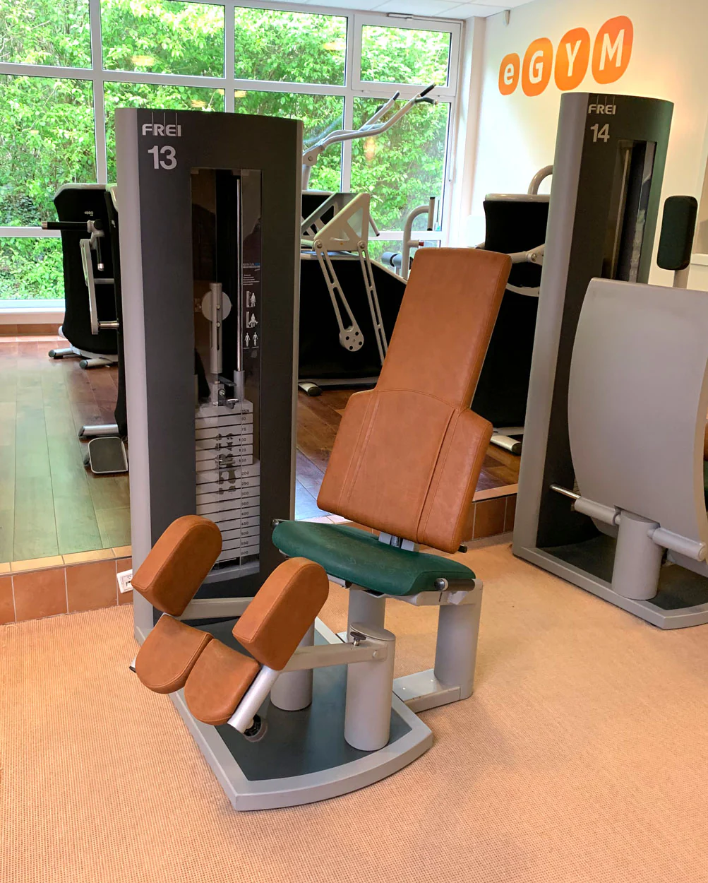 Frei Genius Eco, 16 Kraftgeräte im Set, MPG, KGG, MED Zulassung, Medical Physio Serie, Silber, gebraucht - überholter Zustand - Image 13