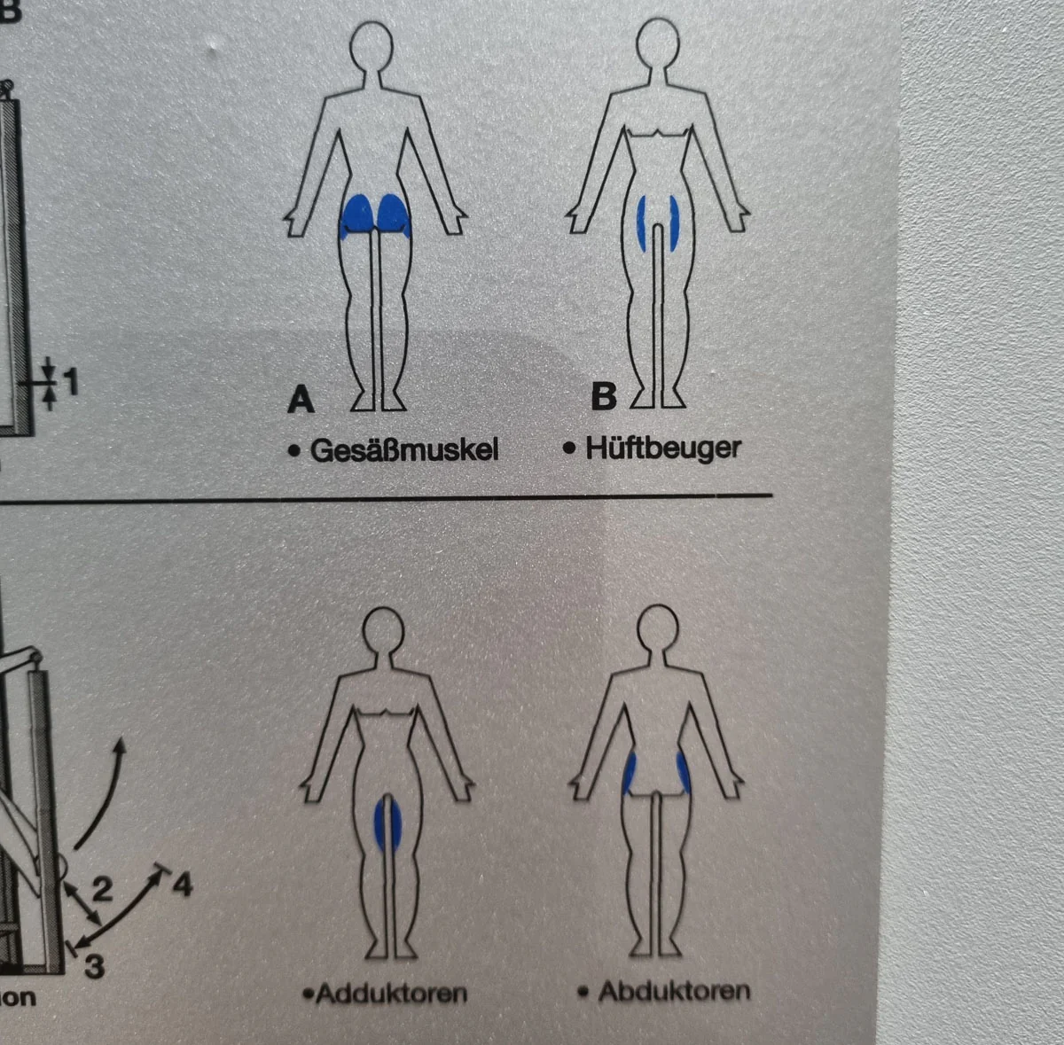 Frei Genius Eco Hüftmaschine, Hüftpendel, Hip-machine, Multi Hip, Kickmaschine, Rahmenfarbe Silber, gebraucht - überholter Zustand - Image 15