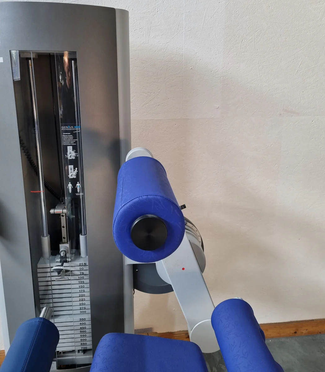 Frei Genius Eco Rückenstreckermaschine, Hyperextension, Rückenmaschine Lower Back, Rahmenfarbe Silber, gebraucht - überholter Zustand - Image 10