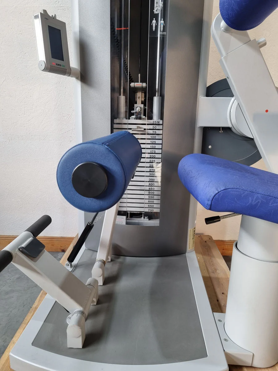 Frei Genius Eco Rückenstreckermaschine, Hyperextension, Rückenmaschine Lower Back, Rahmenfarbe Silber, gebraucht - überholter Zustand - Image 6