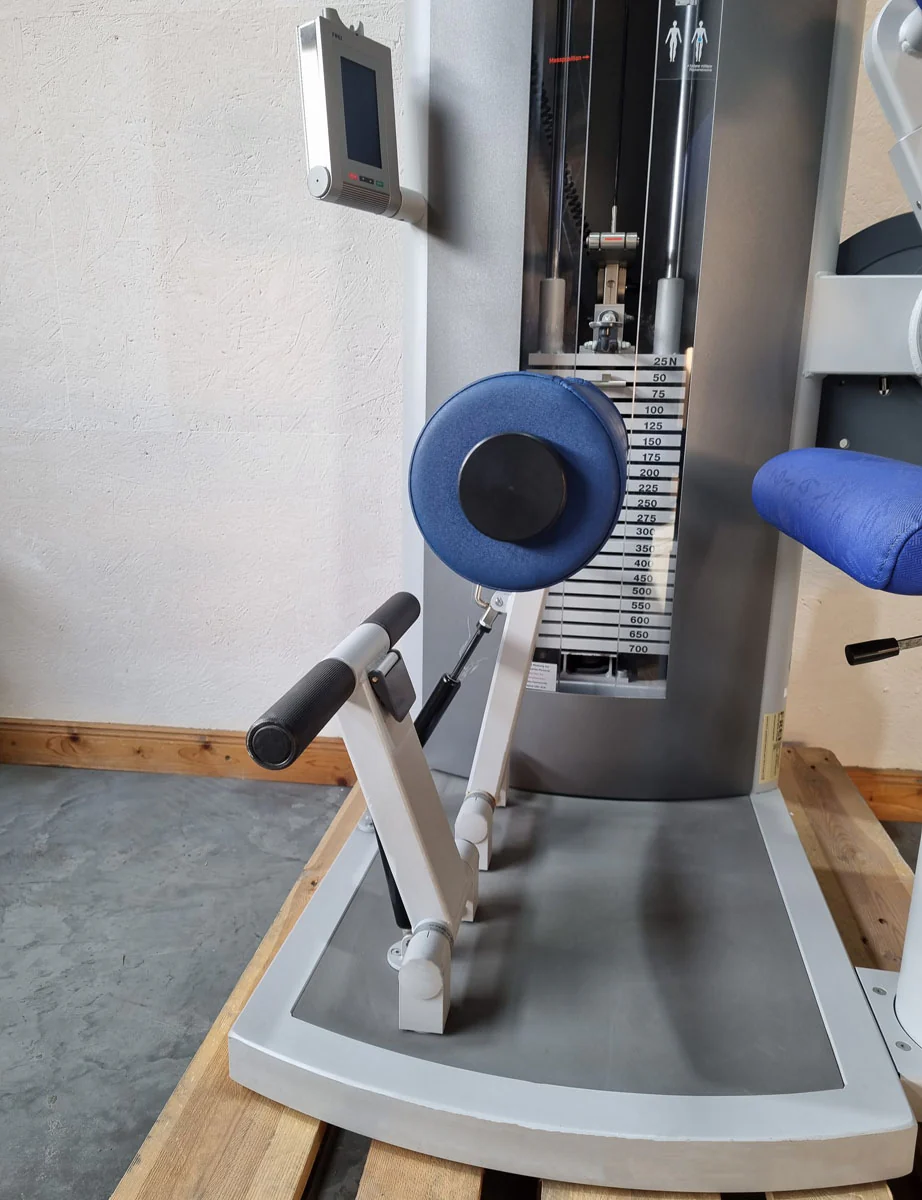 Frei Genius Eco Rückenstreckermaschine, Hyperextension, Rückenmaschine Lower Back, Rahmenfarbe Silber, gebraucht - überholter Zustand - Image 7