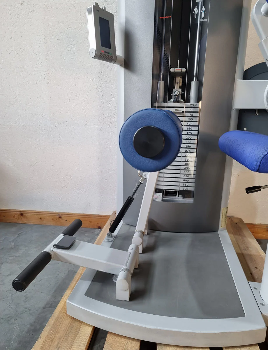 Frei Genius Eco Rückenstreckermaschine, Hyperextension, Rückenmaschine Lower Back, Rahmenfarbe Silber, gebraucht - überholter Zustand - Image 8