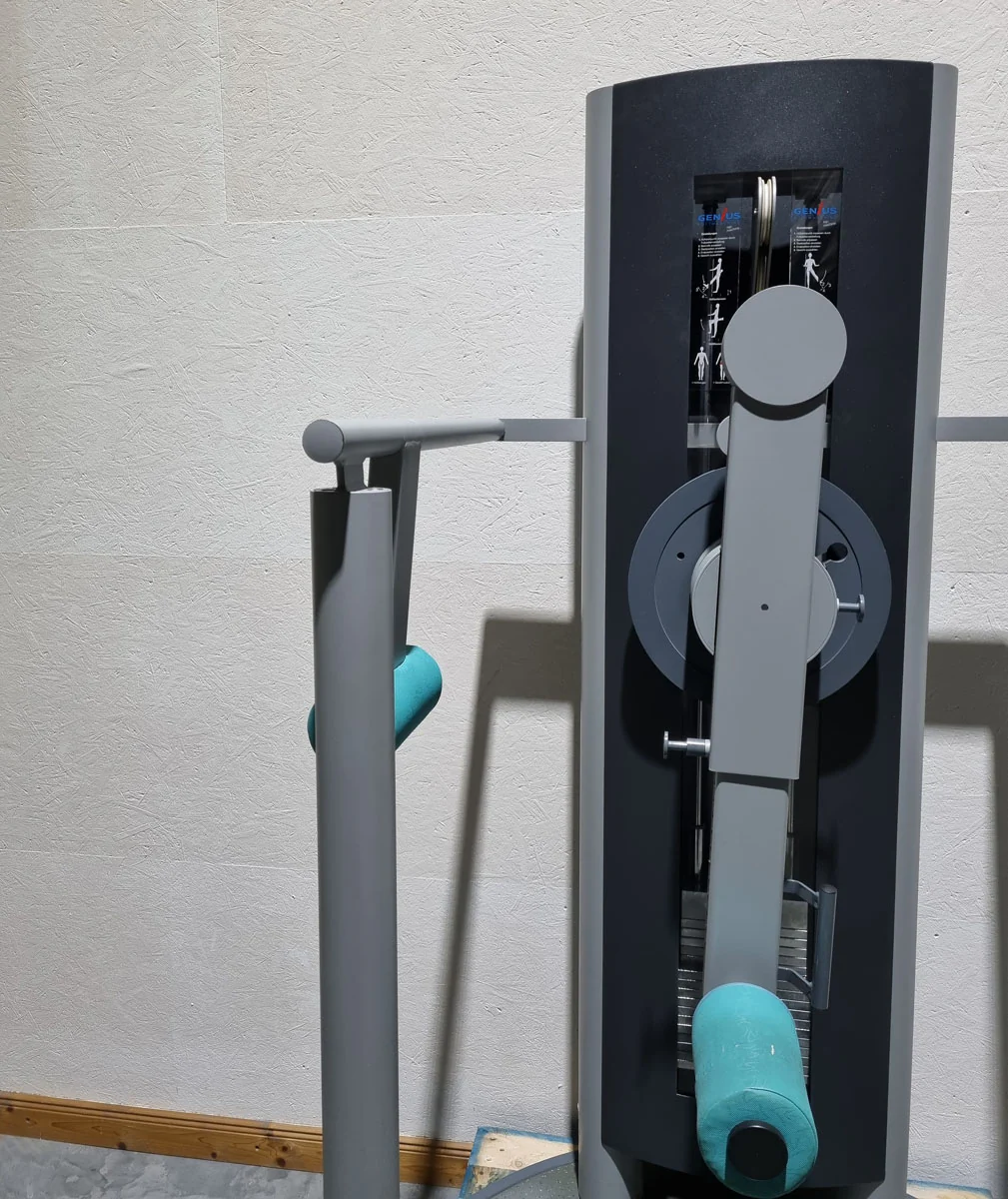 Frei Genius Hüftmaschine, Hüftpendel, Multi Hip, Kickmaschine, Total Hip auch für Ab-Adduktoren Training nutzbar, Rahmenfarbe Silber - gebraucht - überholter Zustand - Image 10