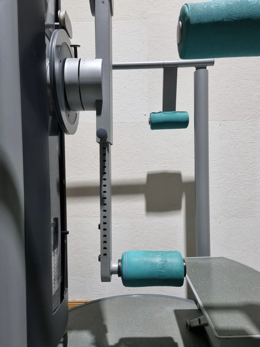 Frei Genius Hüftmaschine, Hüftpendel, Multi Hip, Kickmaschine, Total Hip auch für Ab-Adduktoren Training nutzbar, Rahmenfarbe Silber - gebraucht - überholter Zustand - Image 5