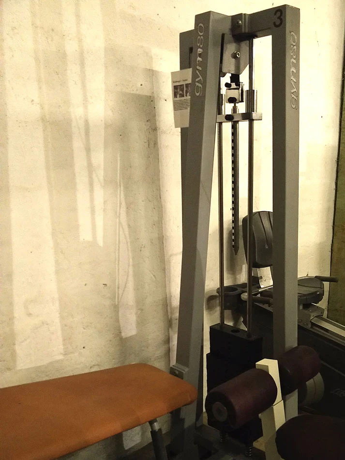Gym 80 Beinstrecker und Beinbeuger, silber-grau, gebraucht, 2 Geräte für 1 Preis - Image 4