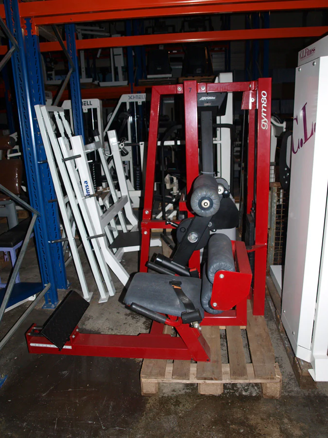 Gym 80 Rückenstreckermaschine, Lower Back, Hyperextension, gebraucht, rot - Image 2