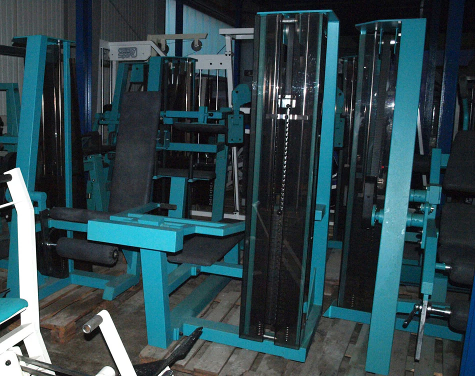 Gym 80, Wadenmaschine Donkey, Edition Line, gebraucht - Image 2