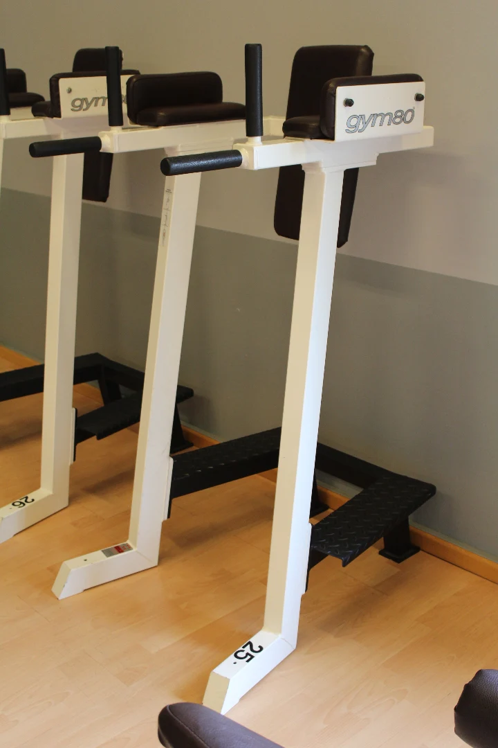 Gym80 Dip- und Beinhebenständer, Leg Raise, Edition Line, Rahmen Weiß, Polster Dunkelbraun, gebraucht - überholter Zustand - Image 2