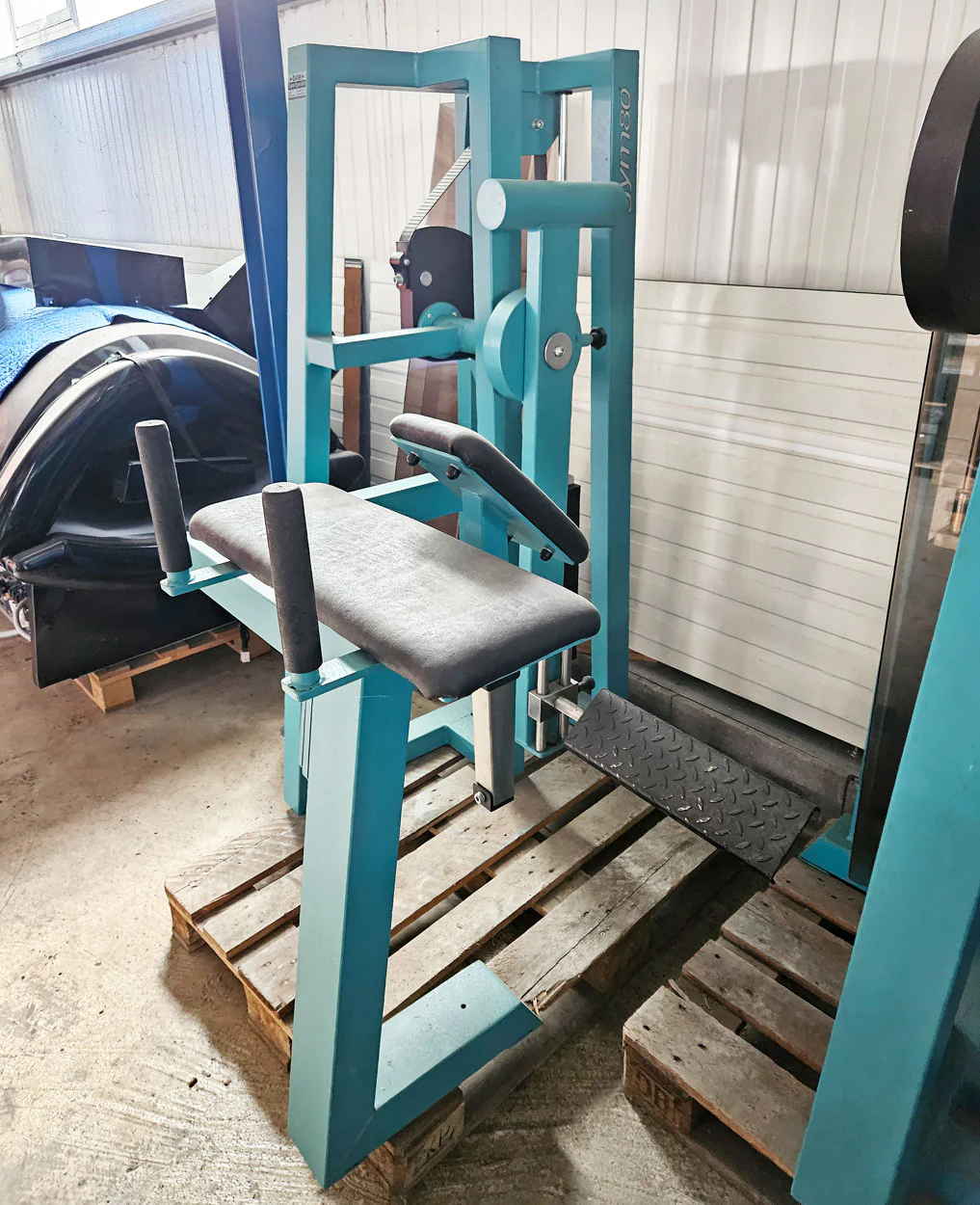 Gym80 Glutaeus radial, Pomaschine, Gluteus Kick, Rahmenfarbe Türkis, gebraucht - geprüfter Zustand - Image 2