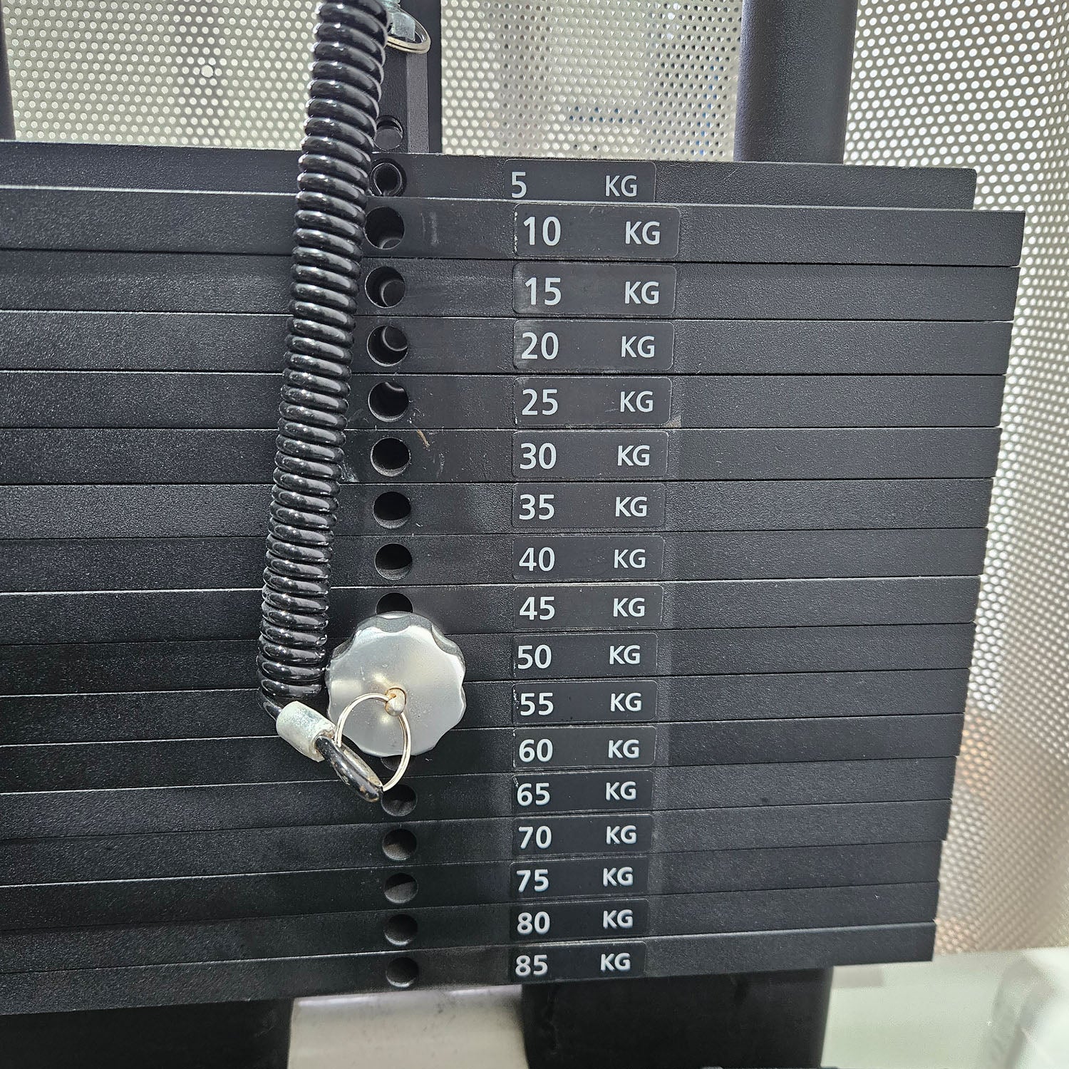 Gym80 Med80 3225 Rotationsmaschine, Rumpfrotator, Twister, seitliche Bauchmuskeln, Farbe Weiß, gebraucht - überholter Zustand - Image 16