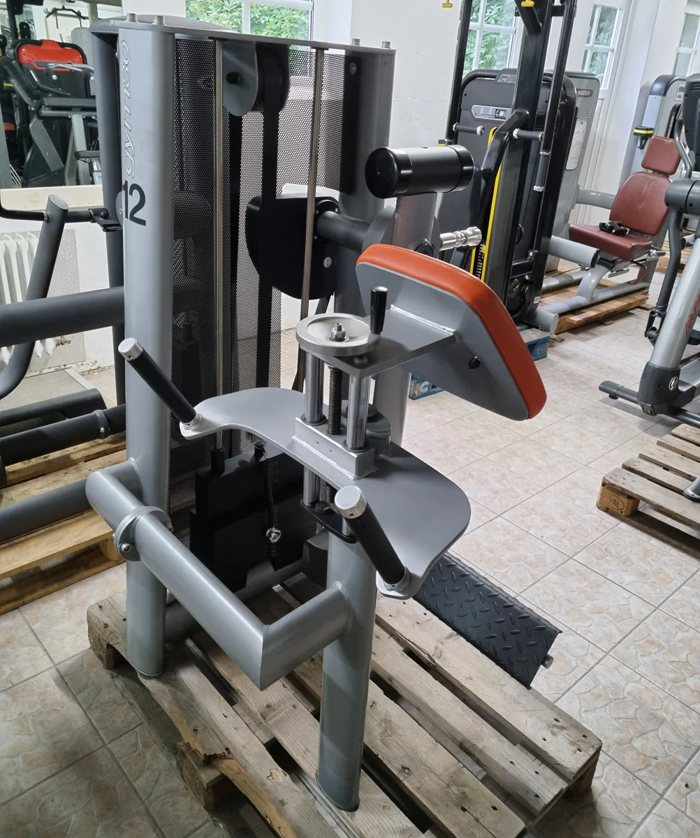 Gym80 Pomaschine stehend, Gluteusmaschine, Glutes Kick Radial, Sygnum Serie, Rahmen Silber, Polster Orange, gebraucht - überholter Zustand - Image 4