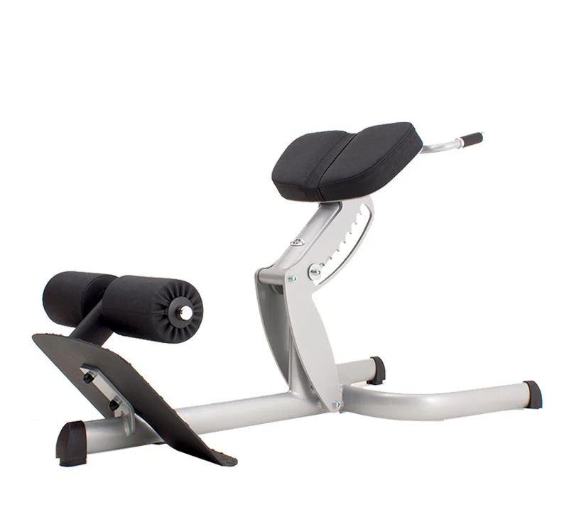Gym80 Rückenstreckerbank 4119,  45 Grad, Hyperextension, Sygnum Serie, Rahmen Silber, Polster Schwarz, gebraucht - überholter Zustand - Image 4