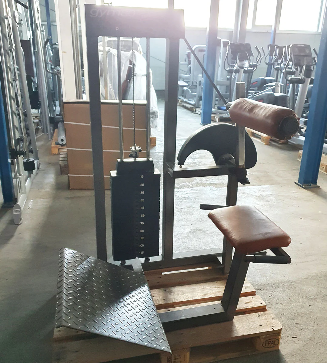 Gym80 Rückenstreckermaschine, Hyperextension, Back Extension, Old school, 120kg Gewichtsblock, gebraucht - Image 2