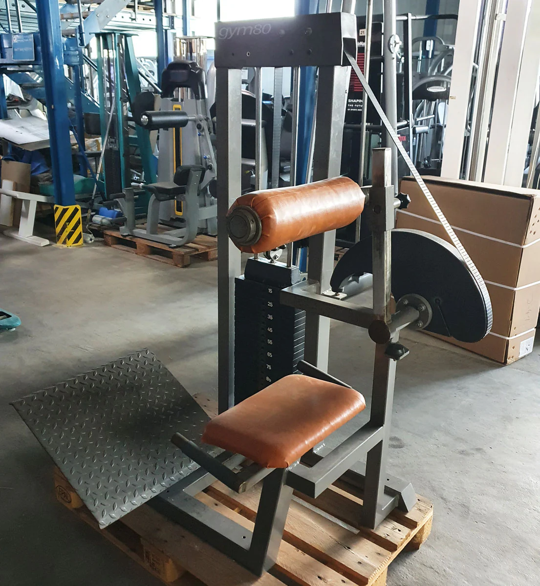 Gym80 Rückenstreckermaschine, Hyperextension, Back Extension, Old school, 120kg Gewichtsblock, gebraucht - Image 3